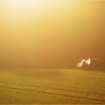 Auf Engelsschwingen ins Abendlicht