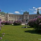 Auf Entdeckungsreise in Wien: ... wenn der Flieder blüht in den Zweigen