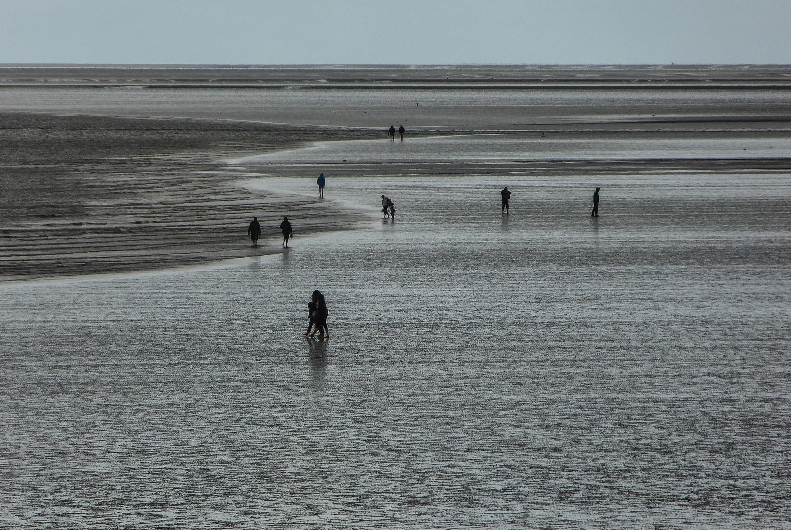 Auf Entdeckungstour im Wattenmeer bei Büsum