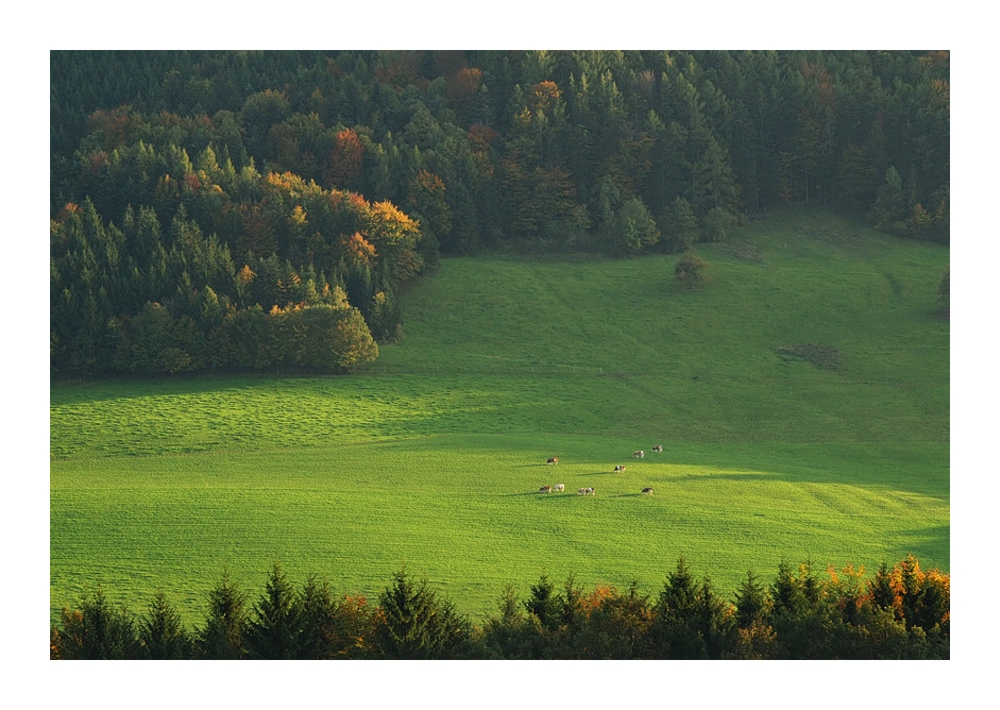 auf entfernung niedlich