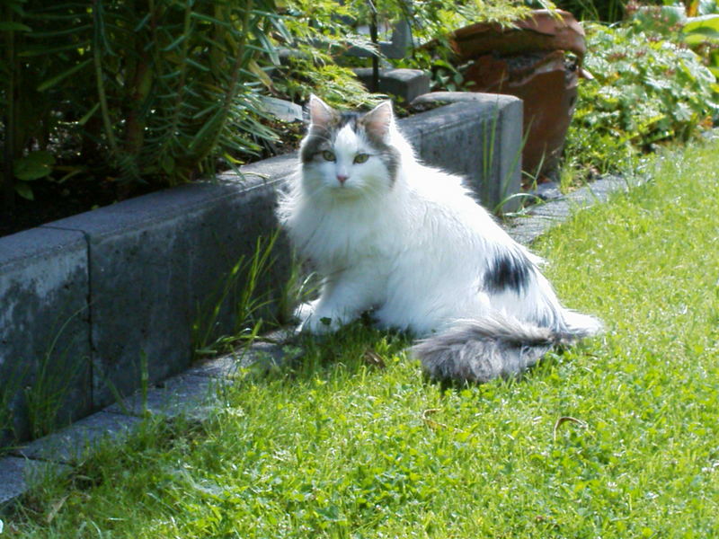 Auf Erkundung im Garten