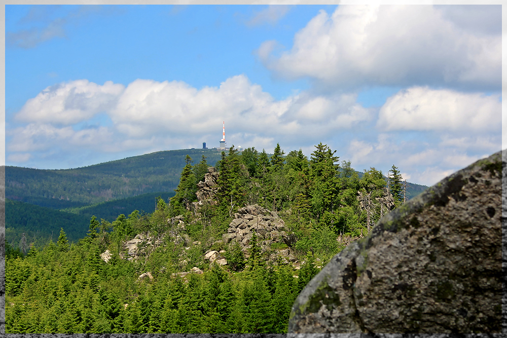 Auf Exkursion im Harz