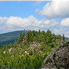 Auf Exkursion im Harz