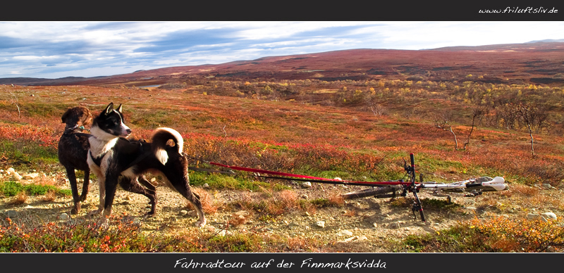 Auf Fahrradtour auf der Finnmarksvidda