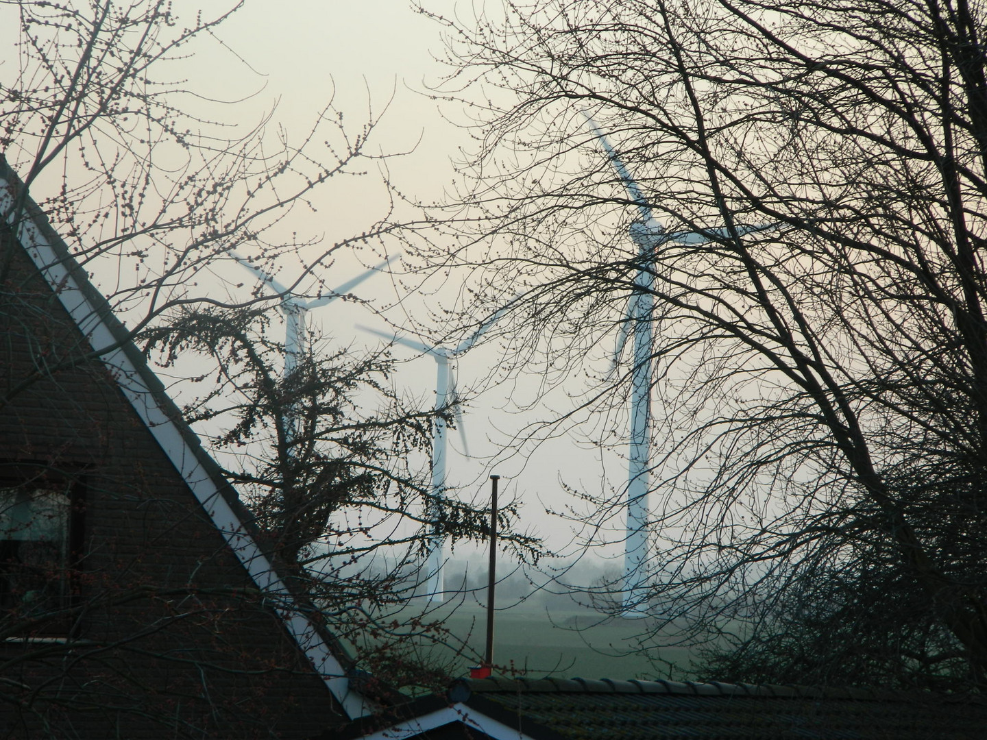 ...auf Fehmarn