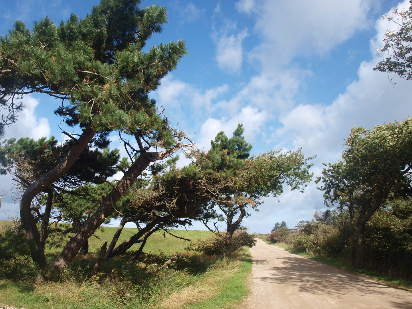 Auf Fehmarn