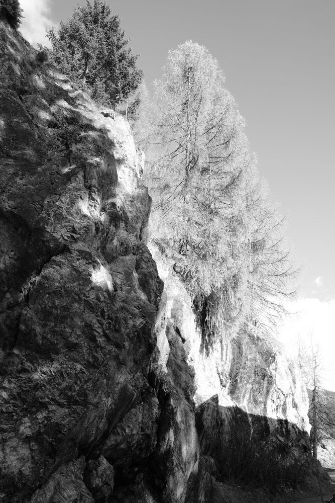 Auf Fels gebaut