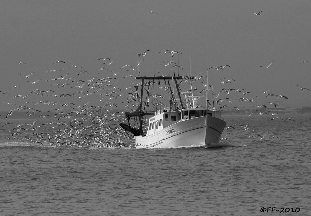 Auf Fischfang