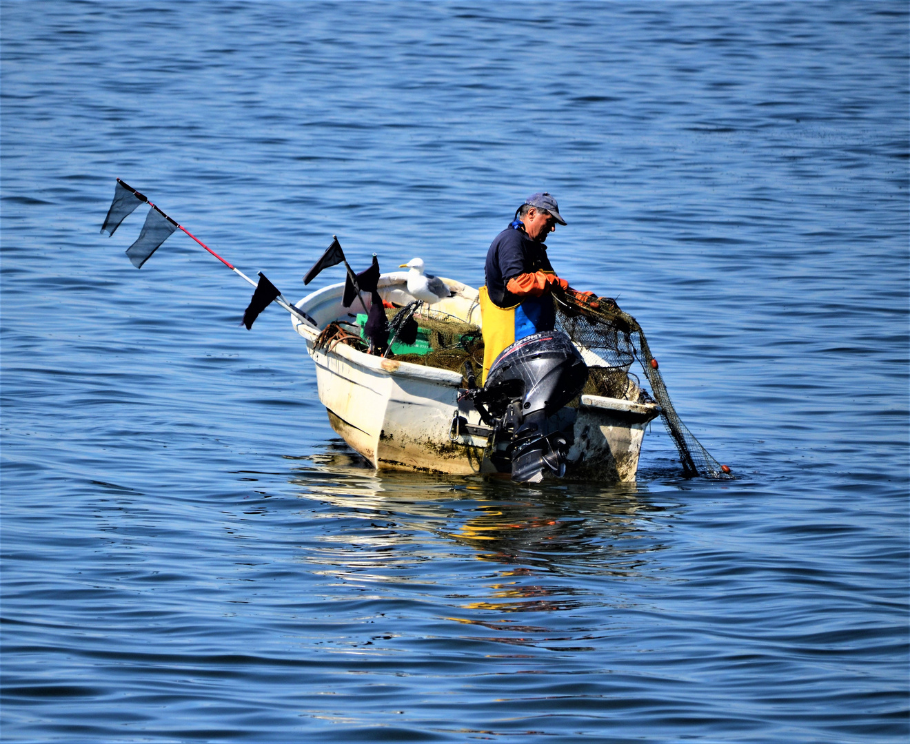 Auf Fischfang bei Hiddensee