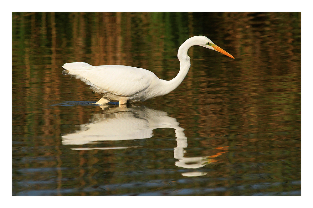 Auf Fischfang