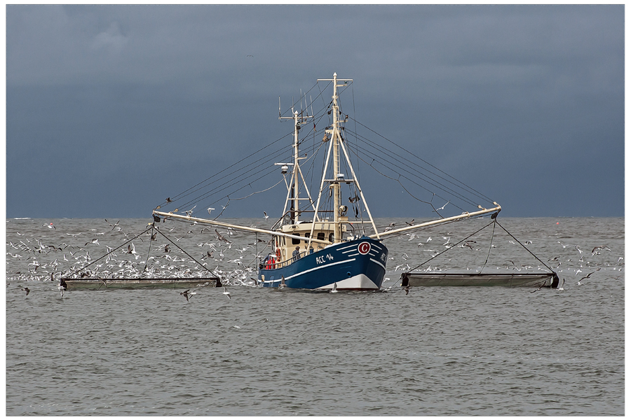 Auf Fischfang