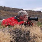 Auf Flamingo "Jagd" in Chubut (Argentinien)