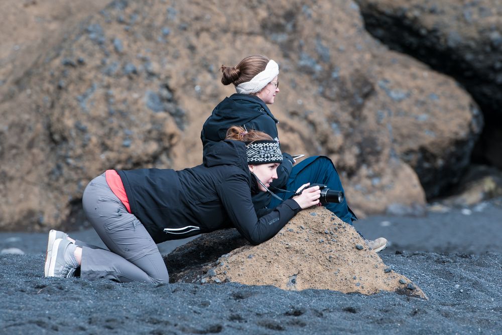 Auf Fotopirsch am schwarzen Lavastrand in Island. 