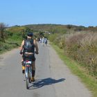 Auf Fototour Hiddensee 