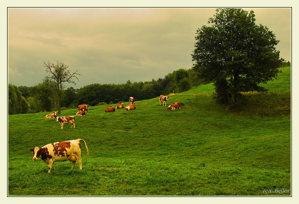 " Auf Fototour in Val-Dieu "