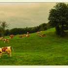 " Auf Fototour in Val-Dieu "