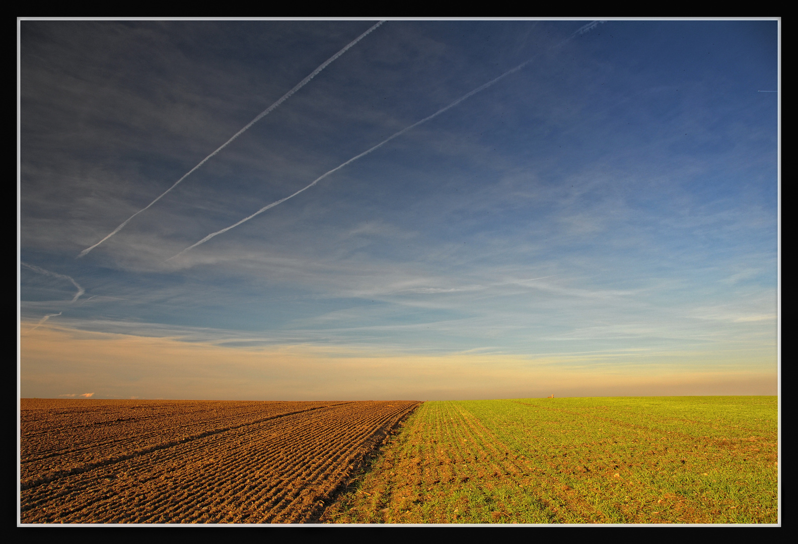 Auf freiem Feld