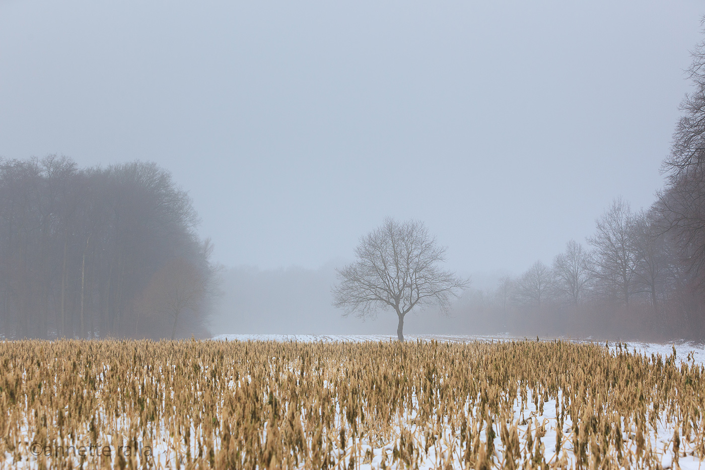 Auf freiem Feld