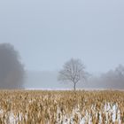 Auf freiem Feld