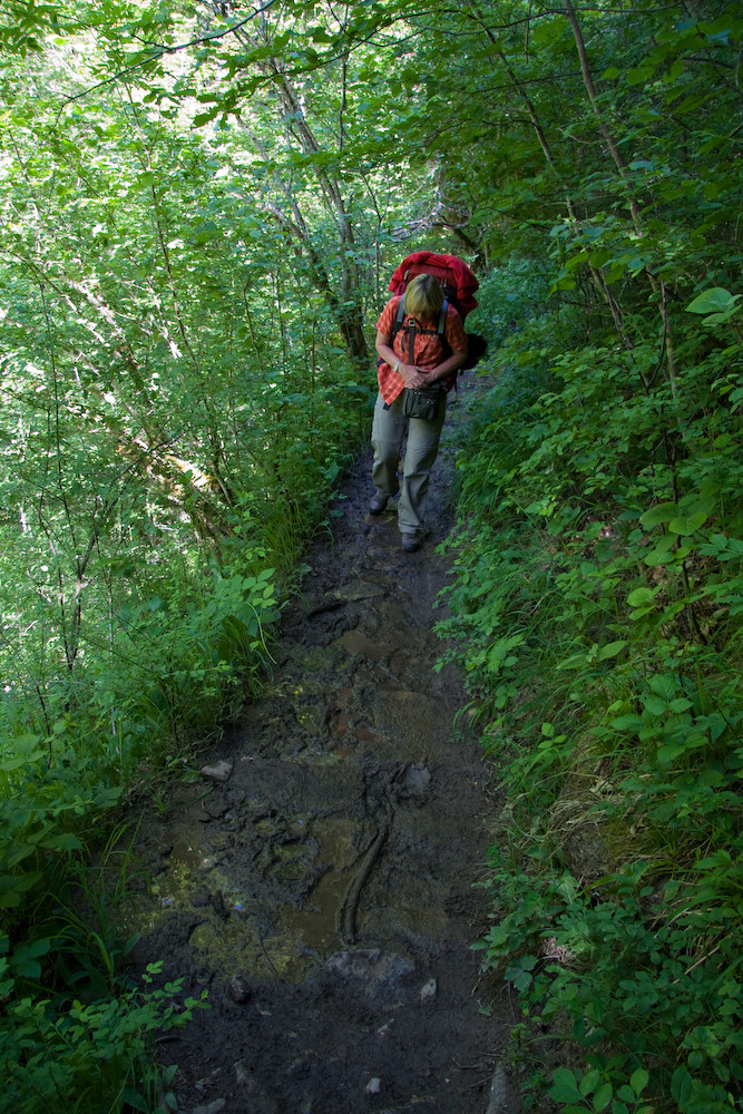 Auf frischem Weg mit frischem Mut durch die Wutachschlucht.