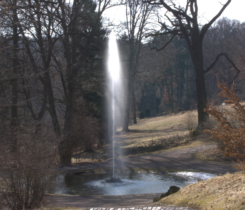 auf frühlingssuche im belvedere I