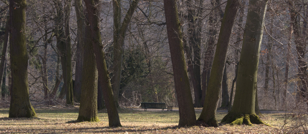 auf frühlingssuche im belvedere VI