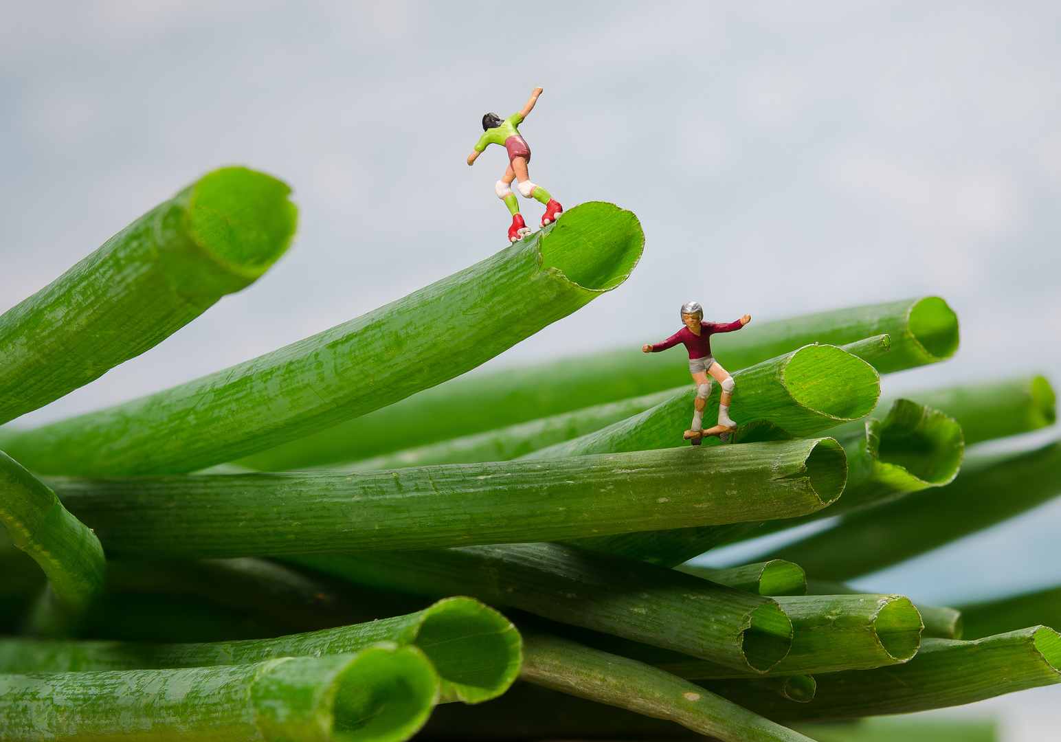 Auf Frühlingszwiebeln...