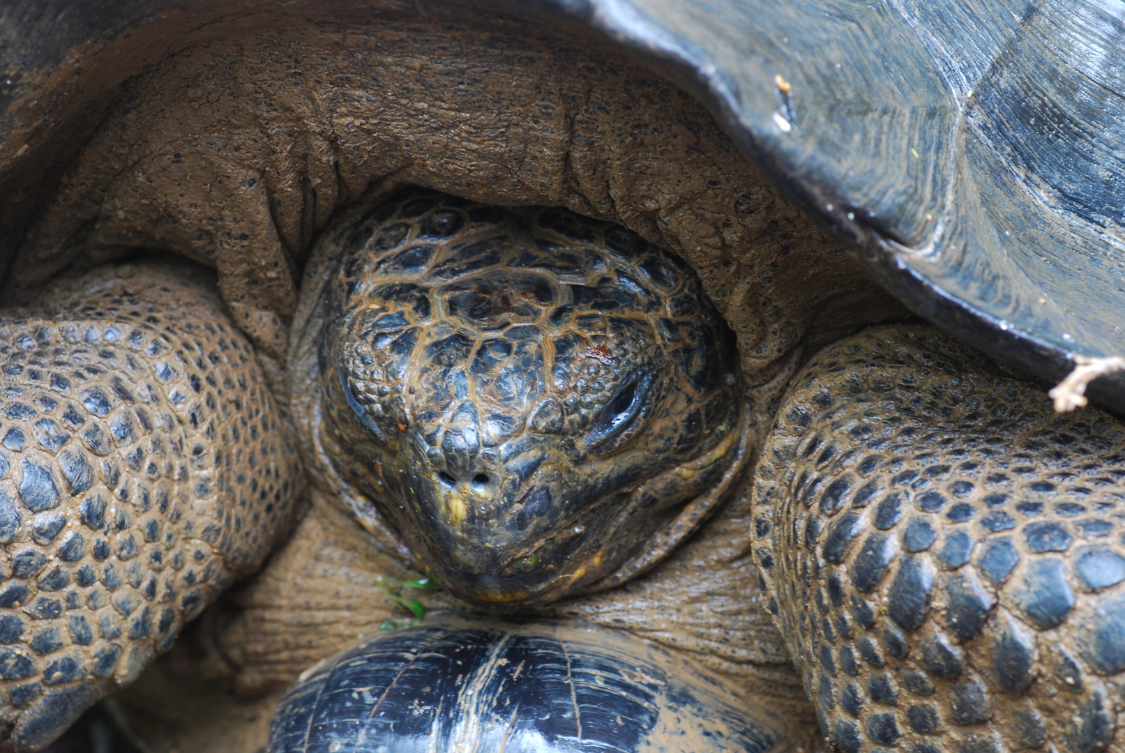 Auf Galapagos 9