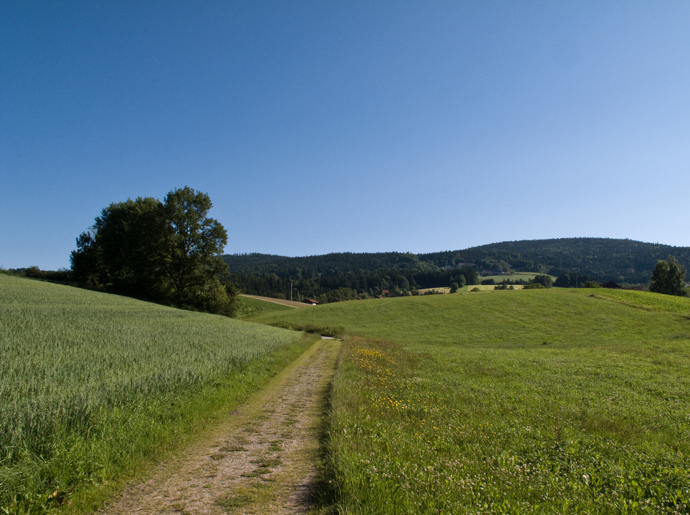 Auf geht´s!