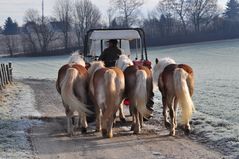 Auf gehts ......