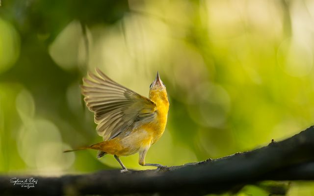 °°_Auf geht´s_°°