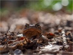 Auf geht´s - der Weg ist frei!