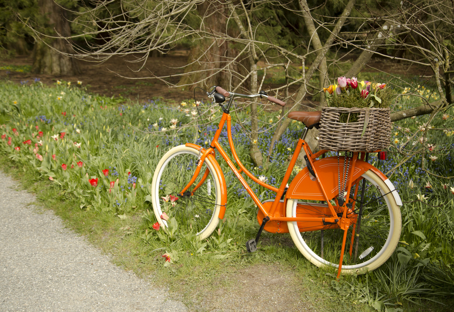 Auf geht's in den Frühling