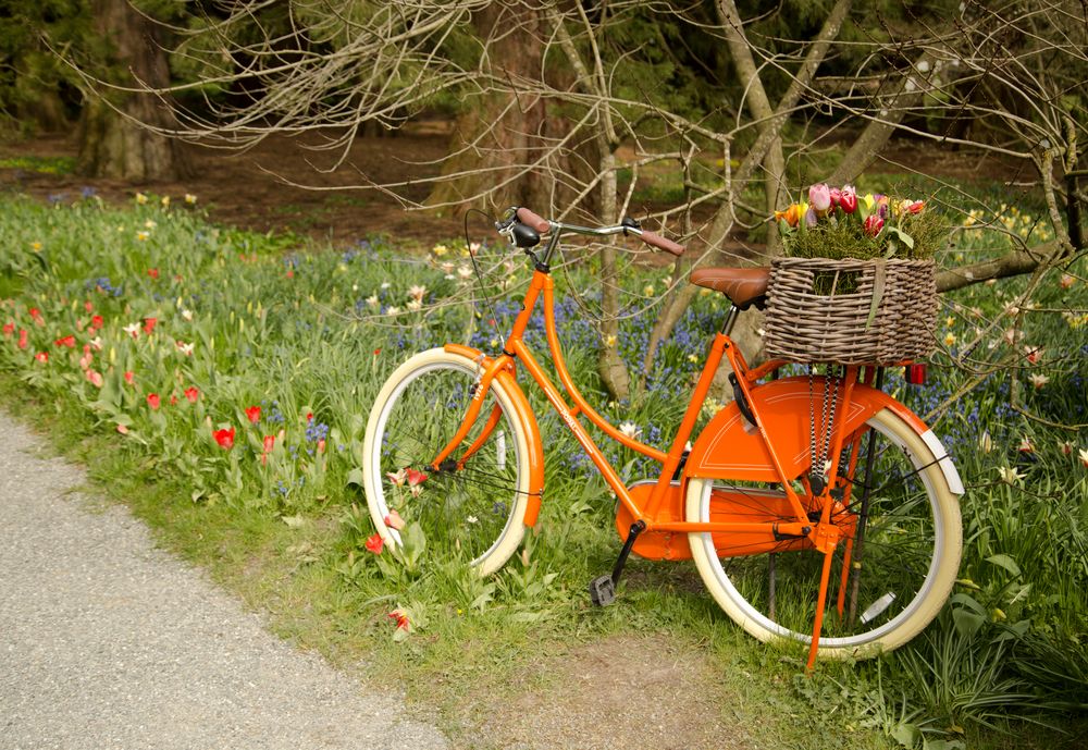 Auf geht's in den Frühling