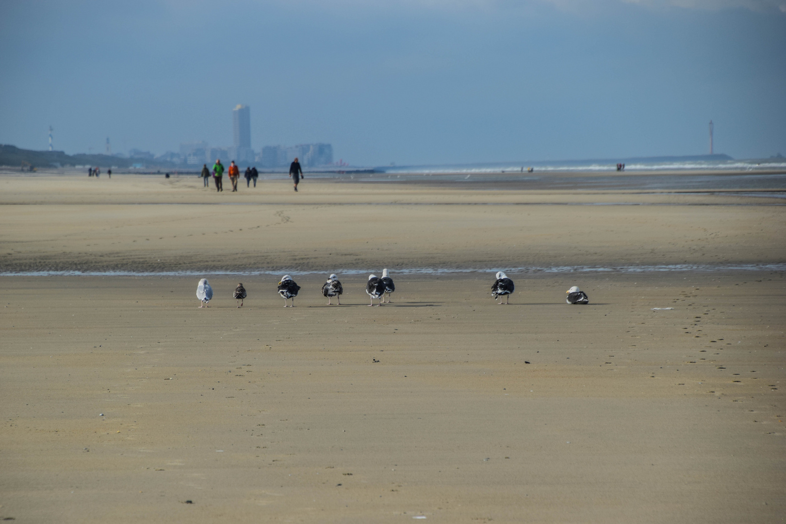 Auf geht's nach Oostende