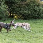 Auf gehts, wo bleibst Du