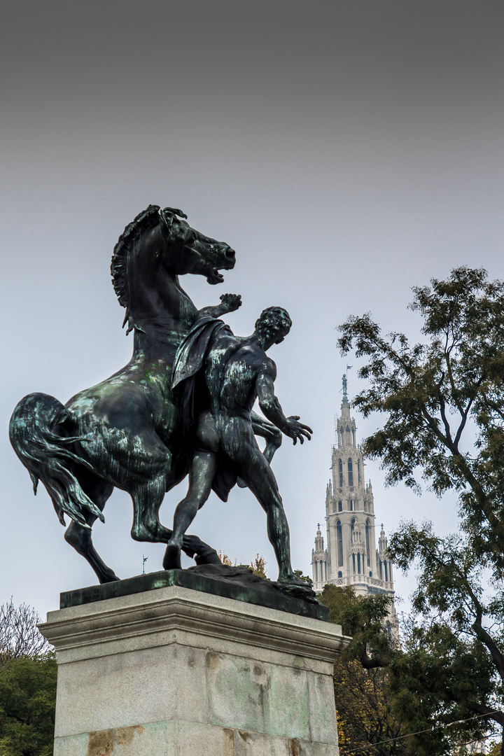 Auf geht's zum Rathaus. Wien