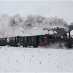 Auf gehts zum Steinbacher Advent