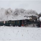 Auf gehts zum Steinbacher Advent