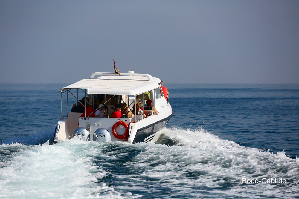 Auf geht´s zur Delfintour