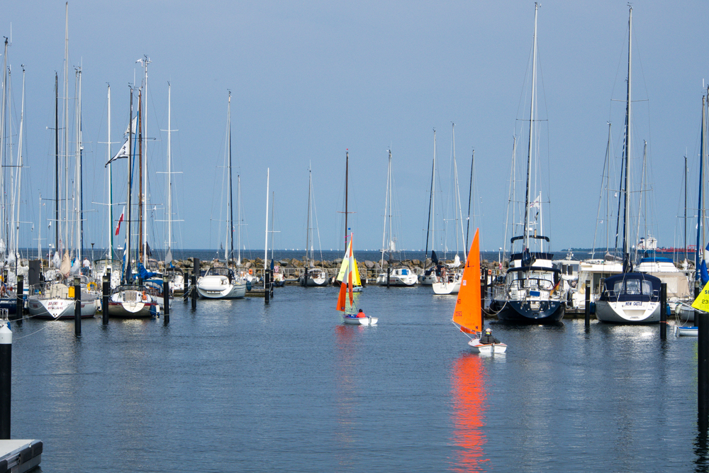 Auf geht's zur Regatta..!!!