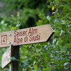 Auf geht´s zur Seiser Alm.....