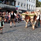 auf geht's zur wiesn ...