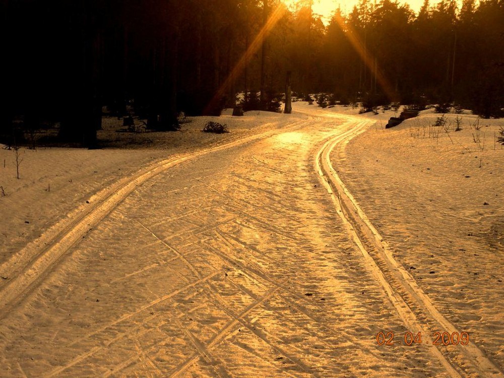 Auf Goldspur in den Frühling