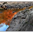 auf Goldsuche am Fluss