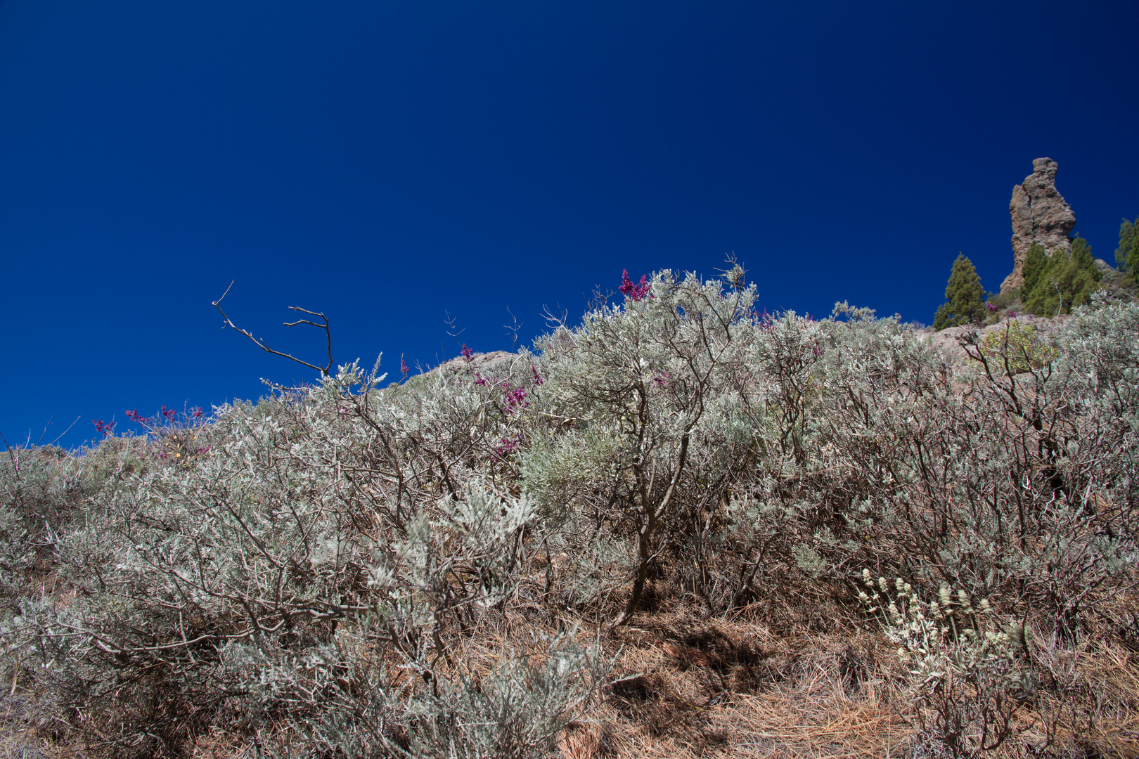 auf Gran Canaria