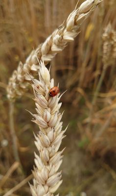 Auf große Reise....