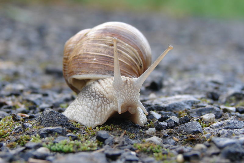 Auf großer Fahrt