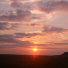 ...auf Hallig Hooge