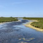 Auf Hallig Hooge